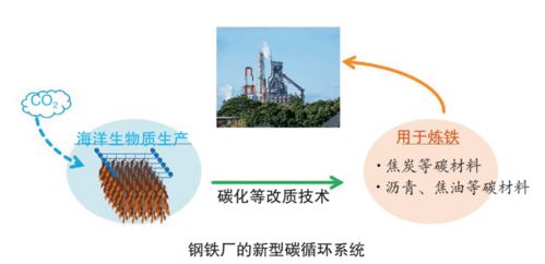 日本制鐵以1.4億日元預算投入海洋生物質煉鐵技術開發
