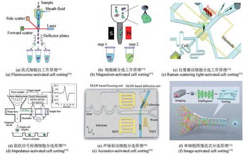 合成生物學(xué) 生物制造引領(lǐng)制造業(yè)的未來