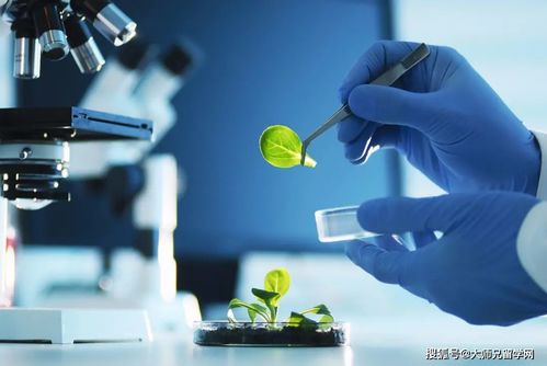 留學馬來西亞 生物技術與生物技術開發，如何區分這對“雙胞胎”專業？